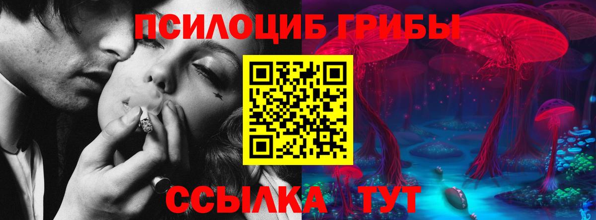 Псилоцибиновые грибы Magic Shrooms Вятские Поляны